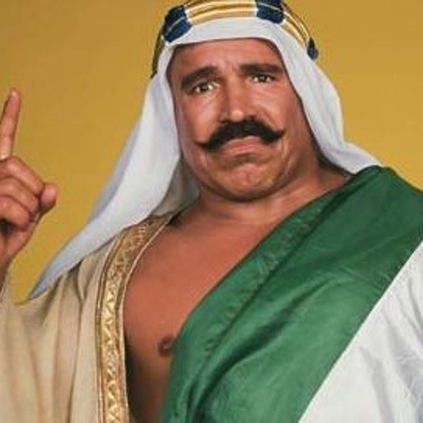 Stoop 54: Bret Hart, Piper, Sheik, Schultz, Payoffs, Drugs, More! episode artwork
