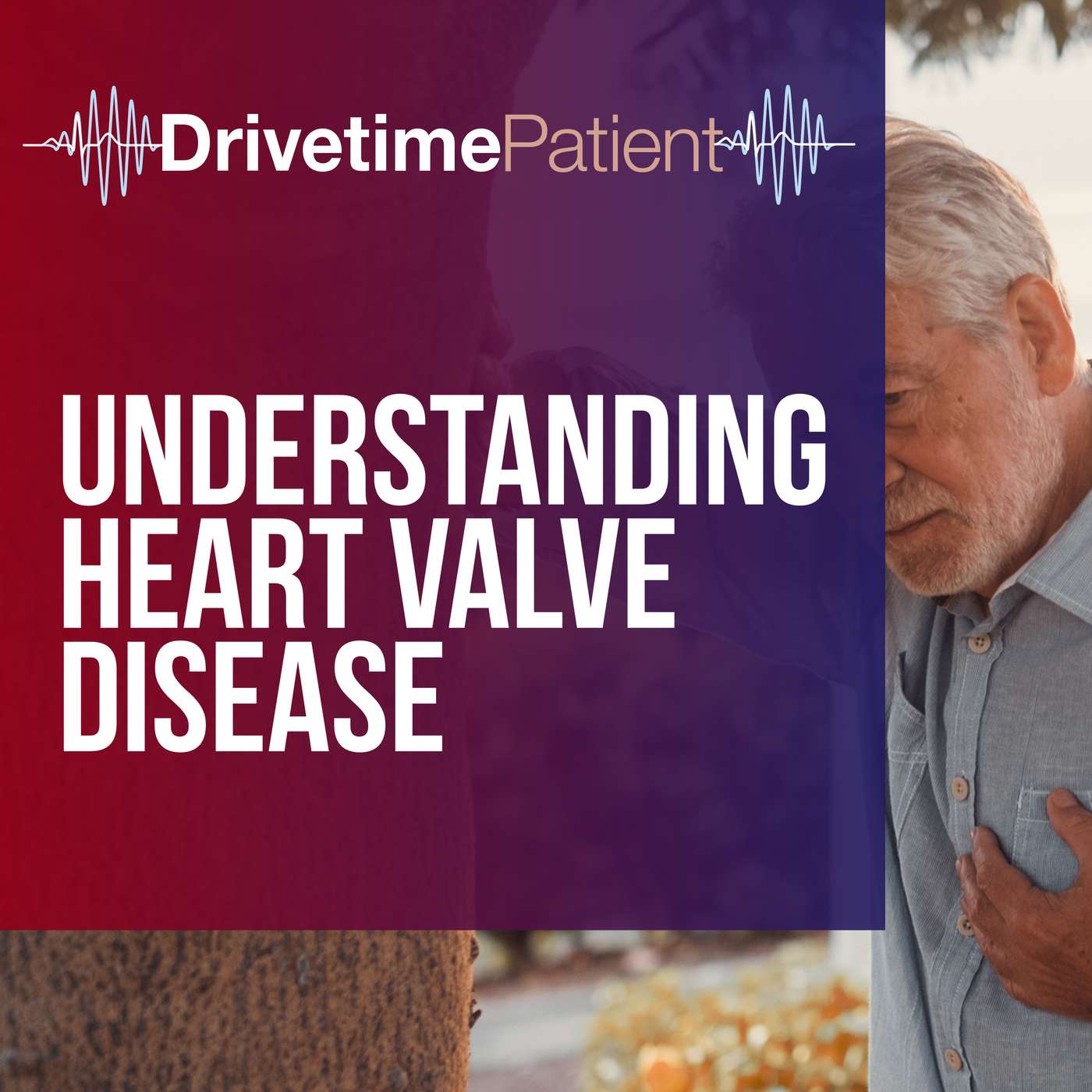 Understanding Heart Valve Disease