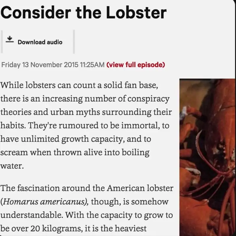 Consider the lobster 