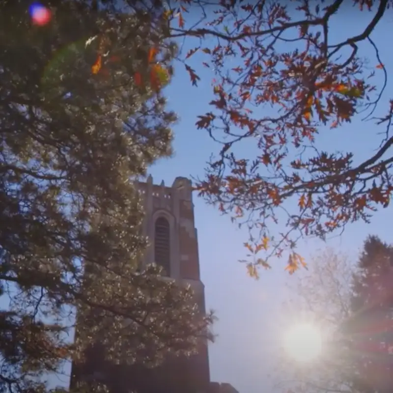 “Faculty and staff are absolutely critical to everything we do at MSU”