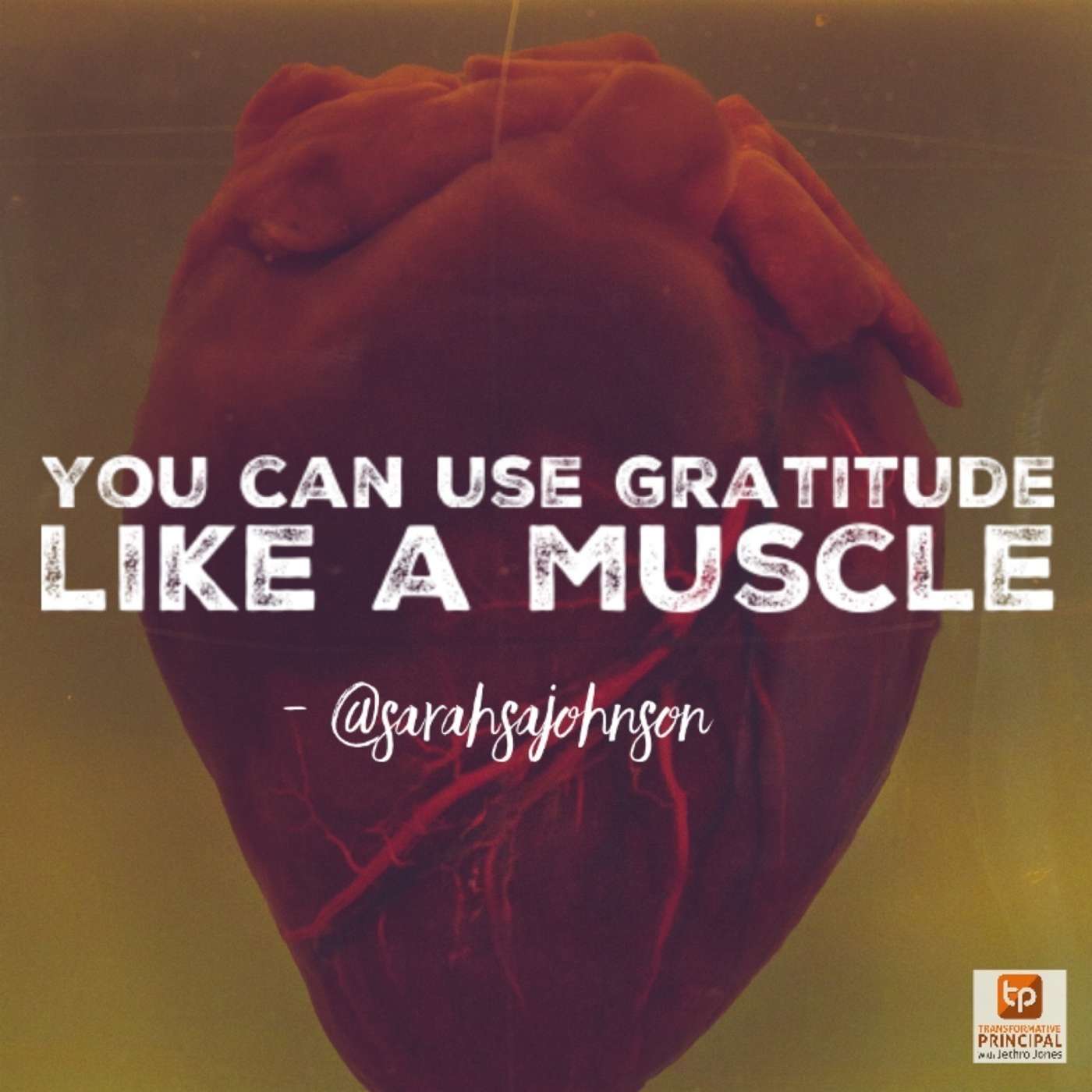 Transformative Principal