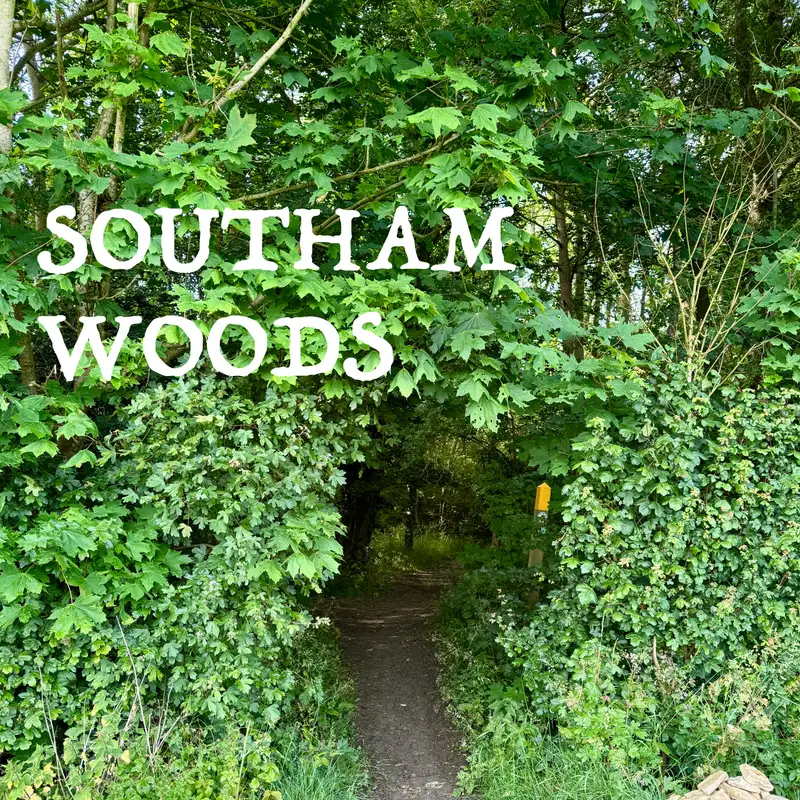 Sleeping Beneath the Stars: Thoreau, Simplicity & the Sacred Ordinary