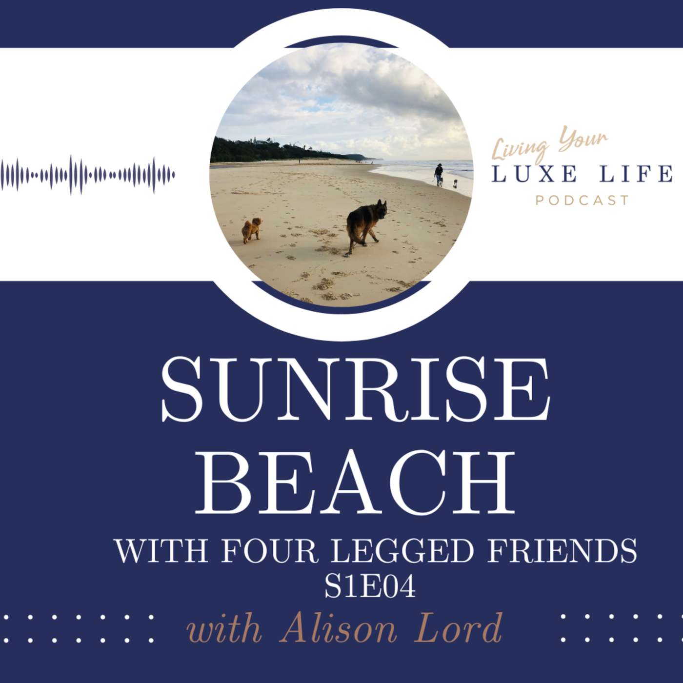 S1E04 - Sunrise Walks on Sunrise Beach with our Four Legged Friends episode artwork