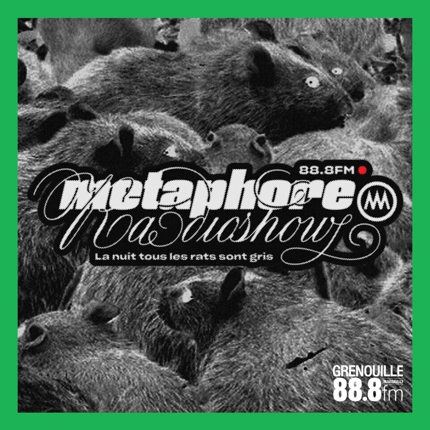 La Nuit Tous Les Rats Sont Gris - Metaphore Collectif