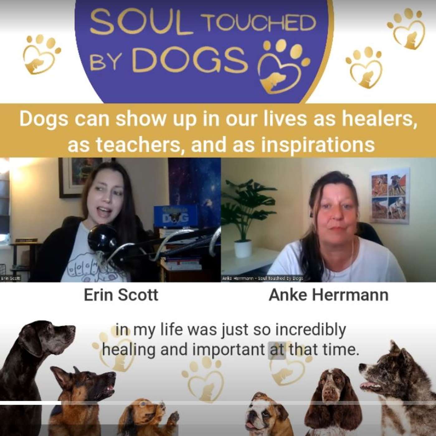 Erin Scott - From Reluctant Pet Owner to Passionate Dog Advocate