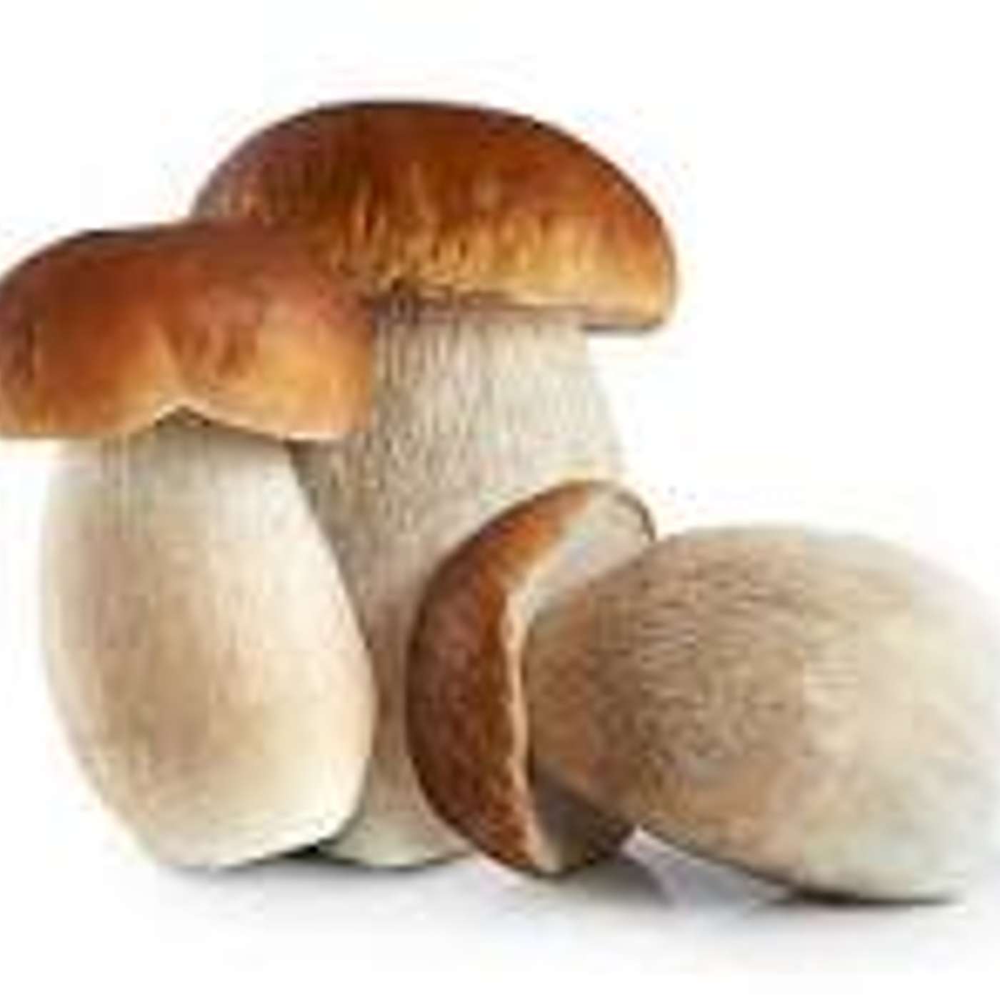 Boeuf bourguignon aux cèpes episode artwork