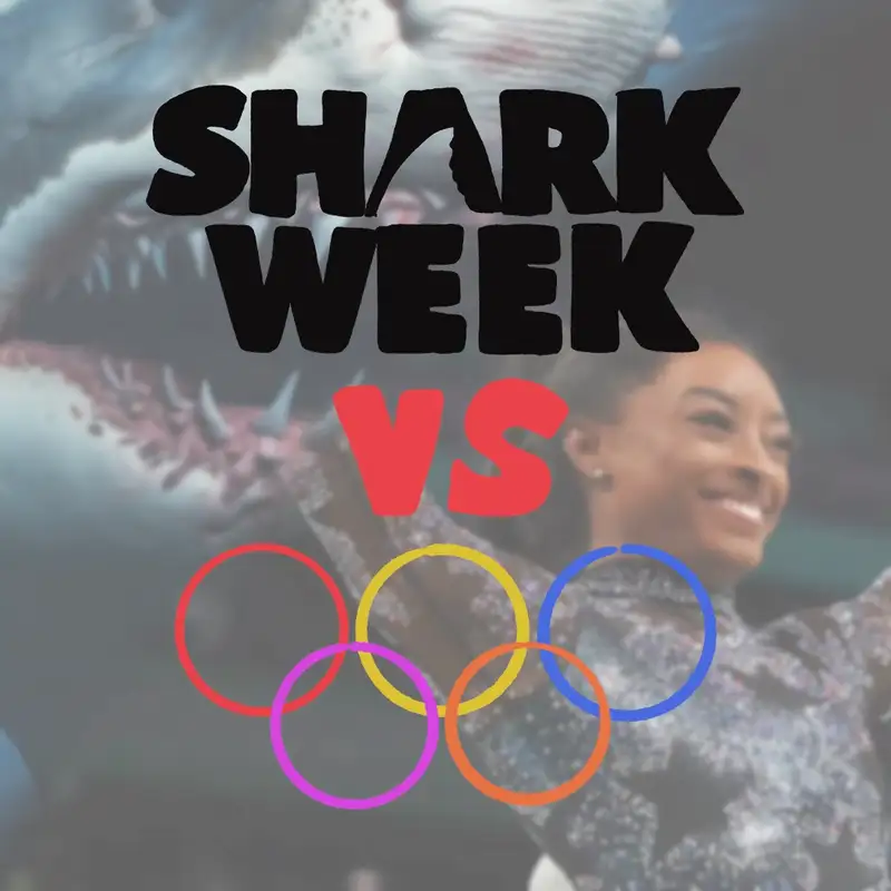 The Twenty Second Episode