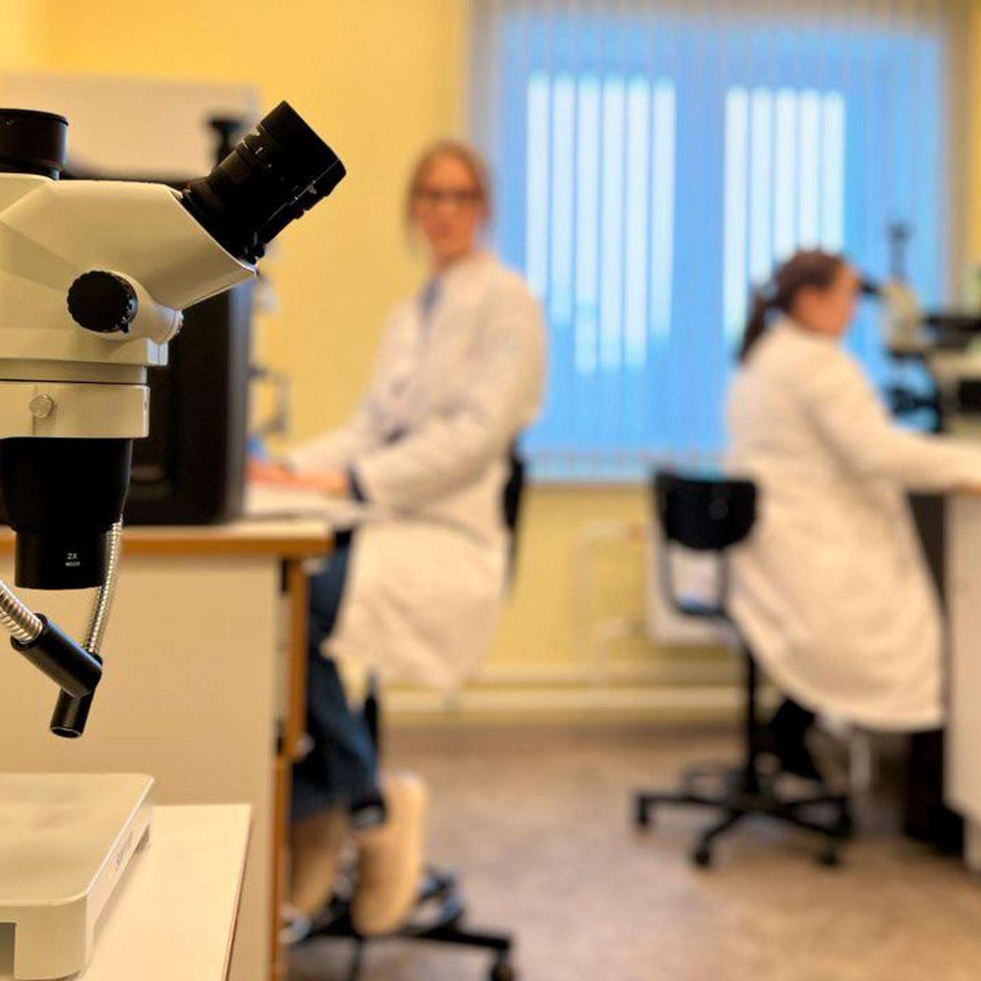 Мурманская область теряет позиции в рейтинге технологического развития