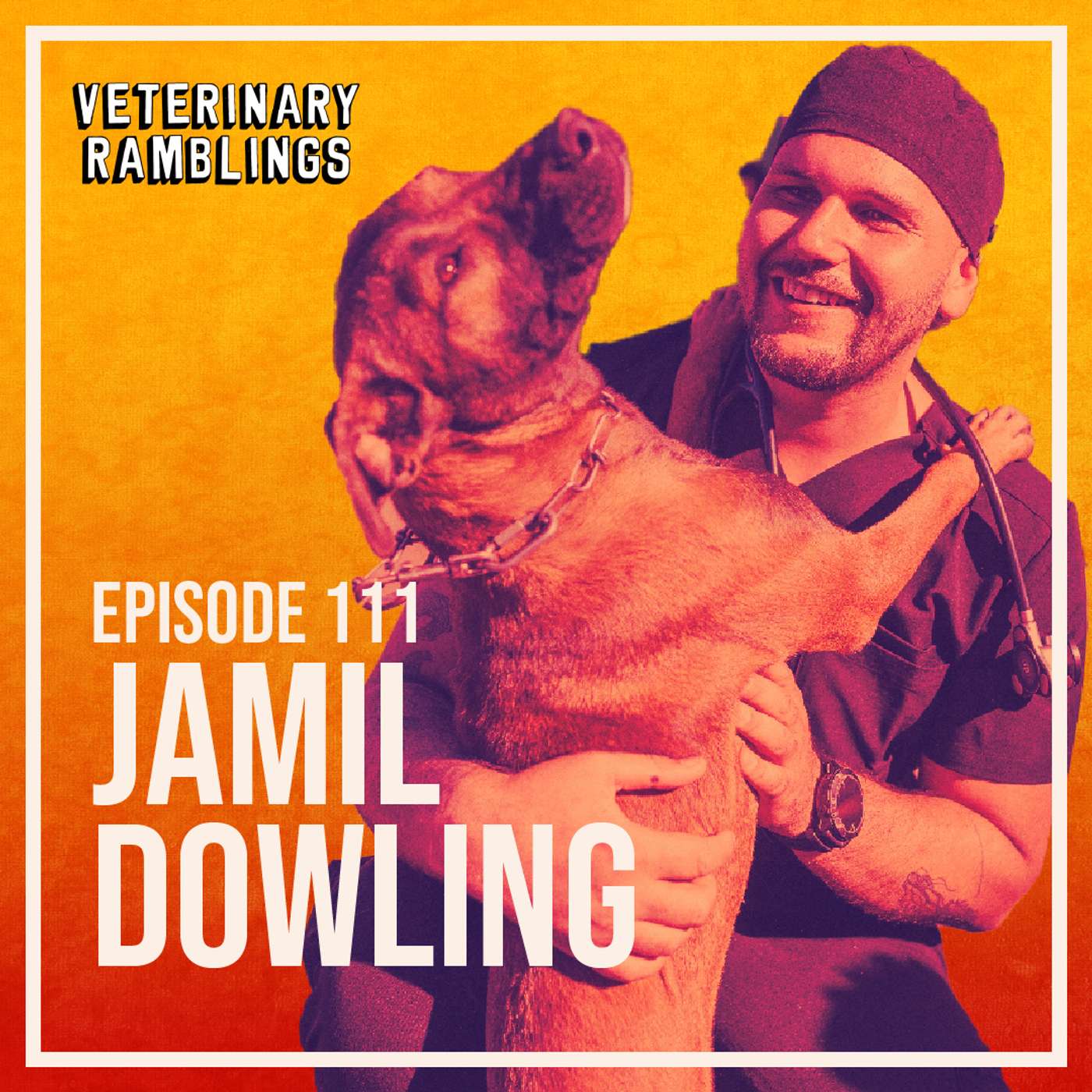 Veterinary Ramblings