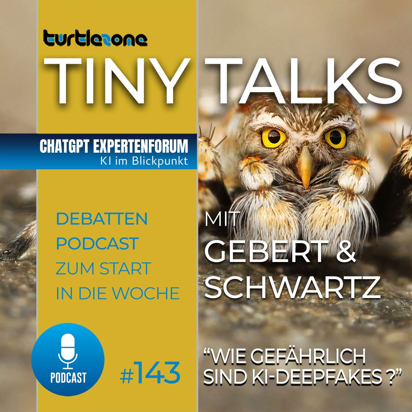 Turtlezone Tiny Talks - Der Debatten-Podcast mit Gebert und Schwartz