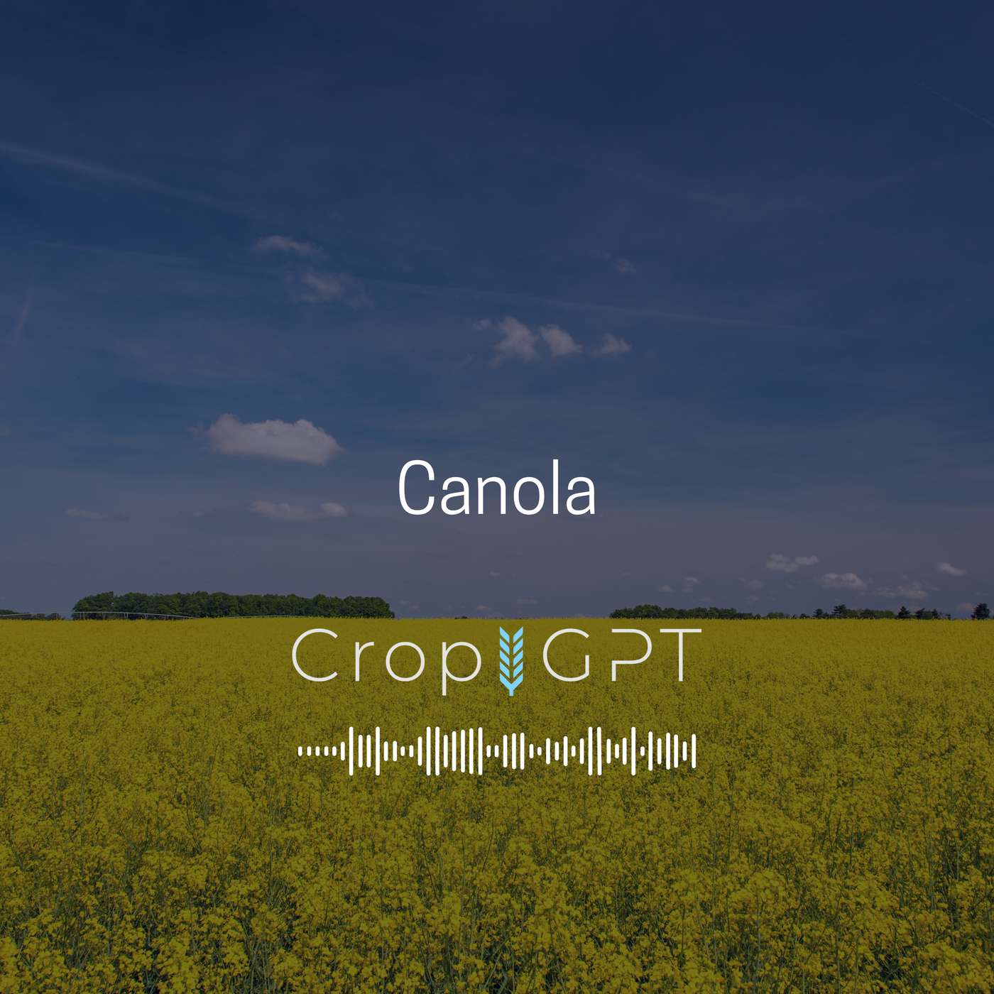 CropGPT - Podcast for Commodities