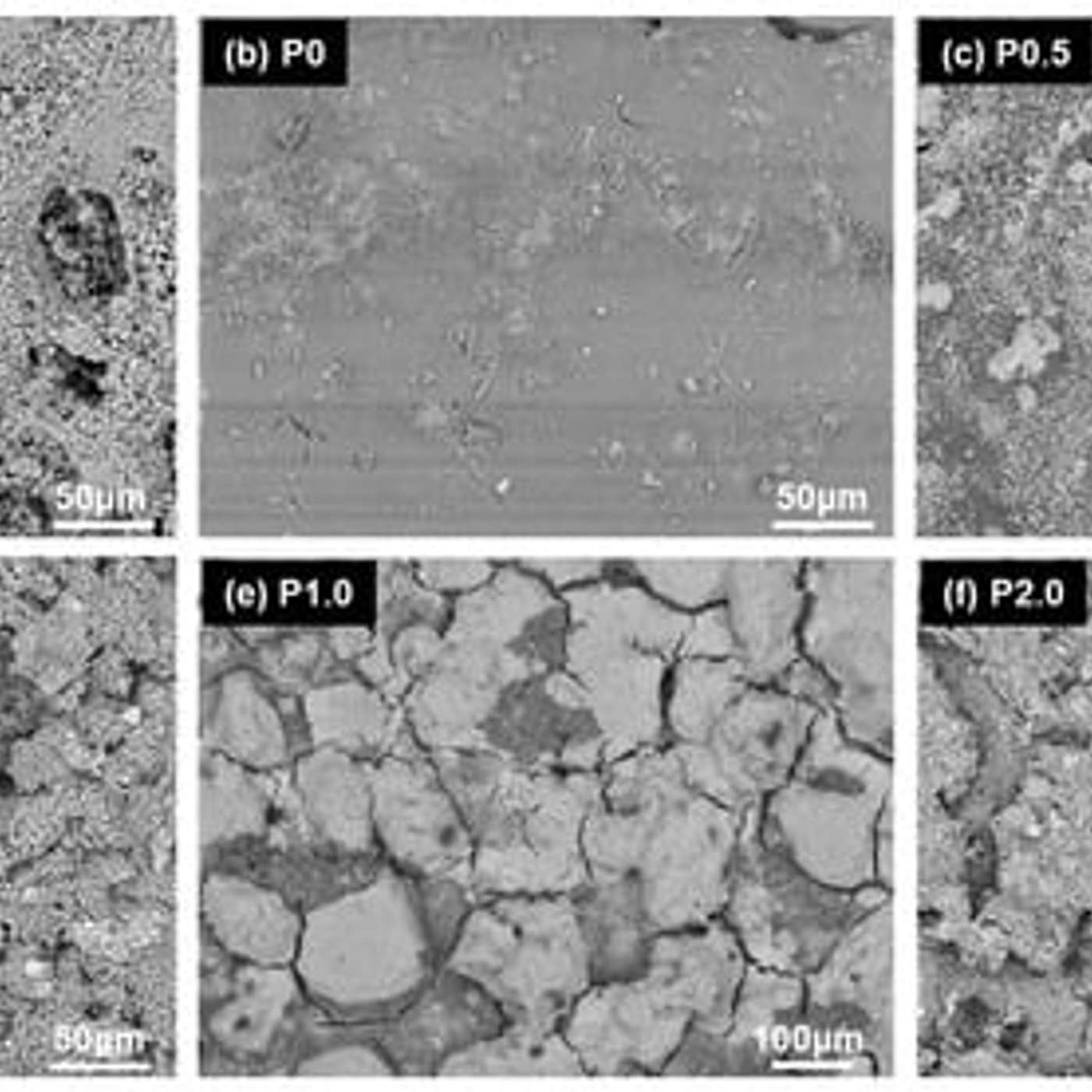 Study Reveals Air Quality Monitor Flaws, Cold-Adapted Probiotic Fights Pseudomonas, Coating Protects Cultural Heritage, 3D Printed Crowns Outperform Traditional, and more...