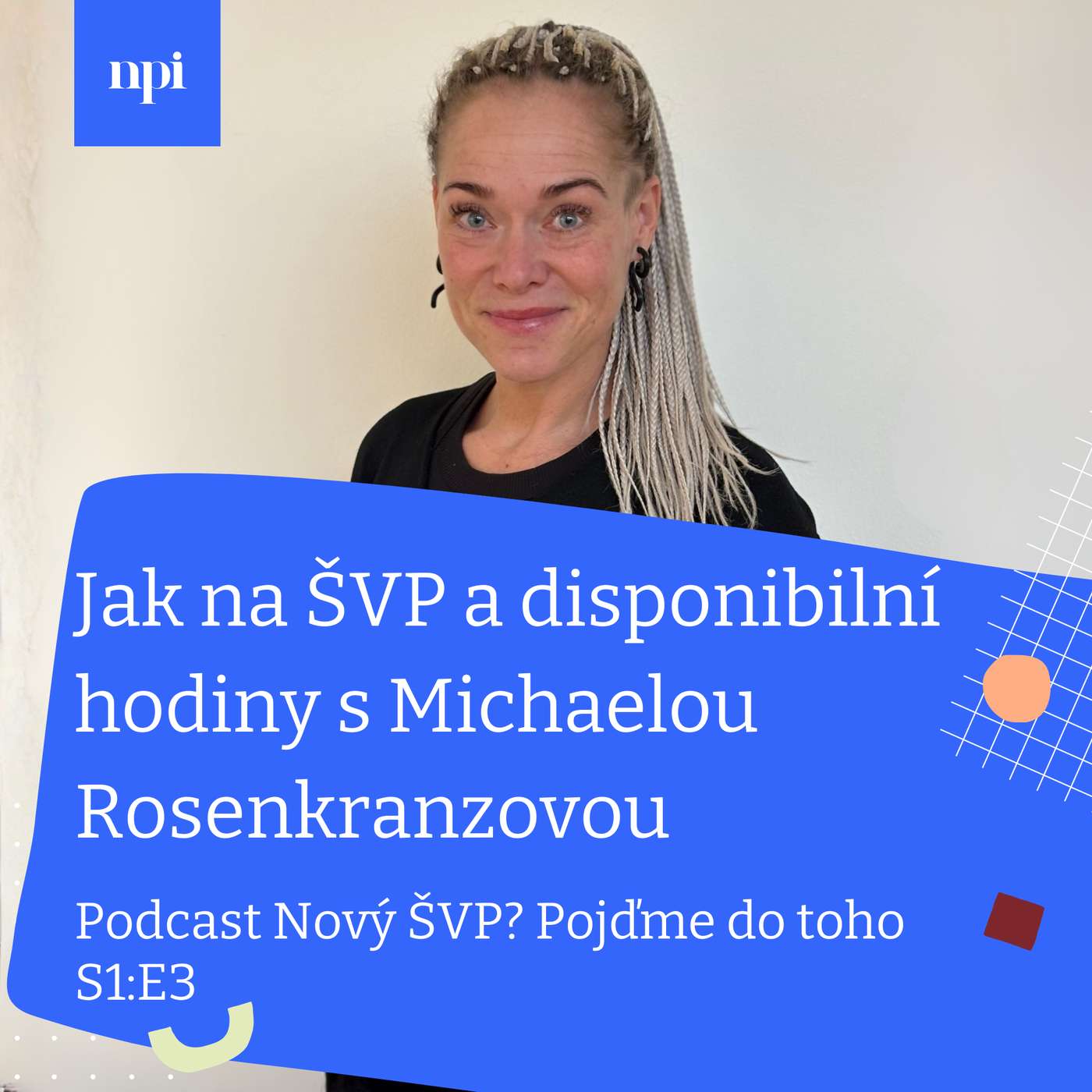Jak na ŠVP a disponibilní hodiny s Michaelou Rosenkranzovou Jak na ŠVP a disponibilní hodiny s Michaelou Rosenkranzovou