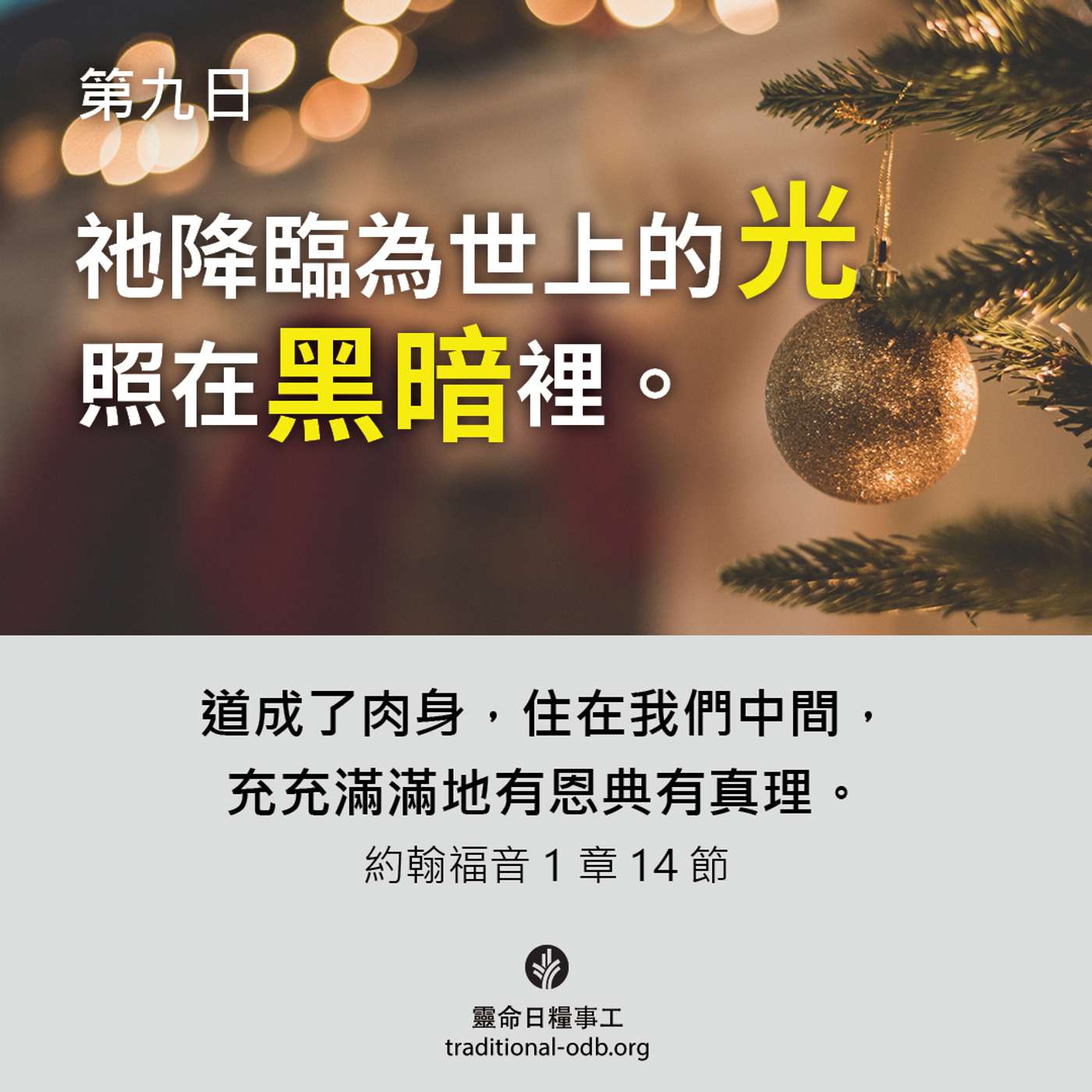 將臨期12天靈修計劃-《聖善夜》第9日 搭建祂的帳篷
