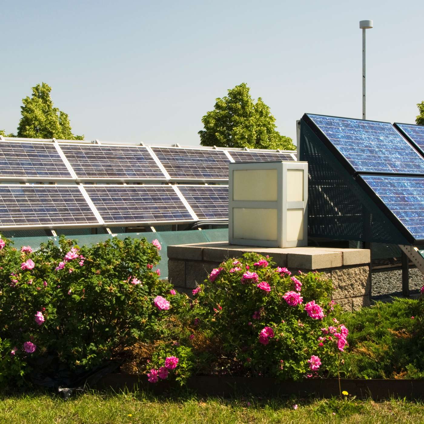 New Federal Cuts Could Impact Minnesota's Solar Energy Goals episode artwork