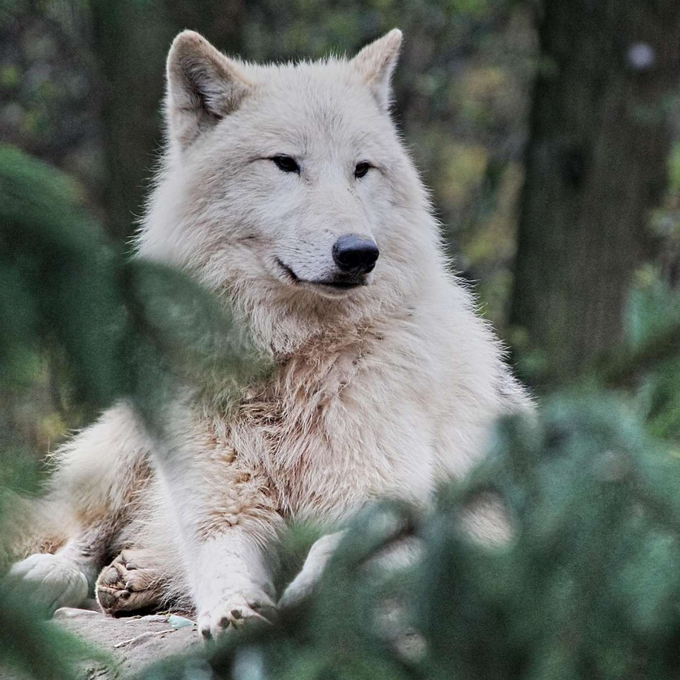 Nature and Science 4 Kids