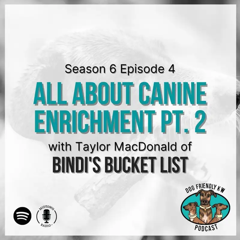 Full Episode: Taylor MacDonald from BINDI'S BUCKET LIST on enrichment, contrafreeloading, dog body language AND MORE!