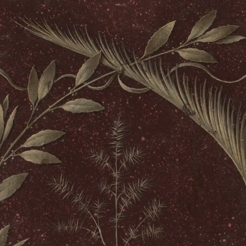 For All the Merits and Sufferings of the Son of Your Love