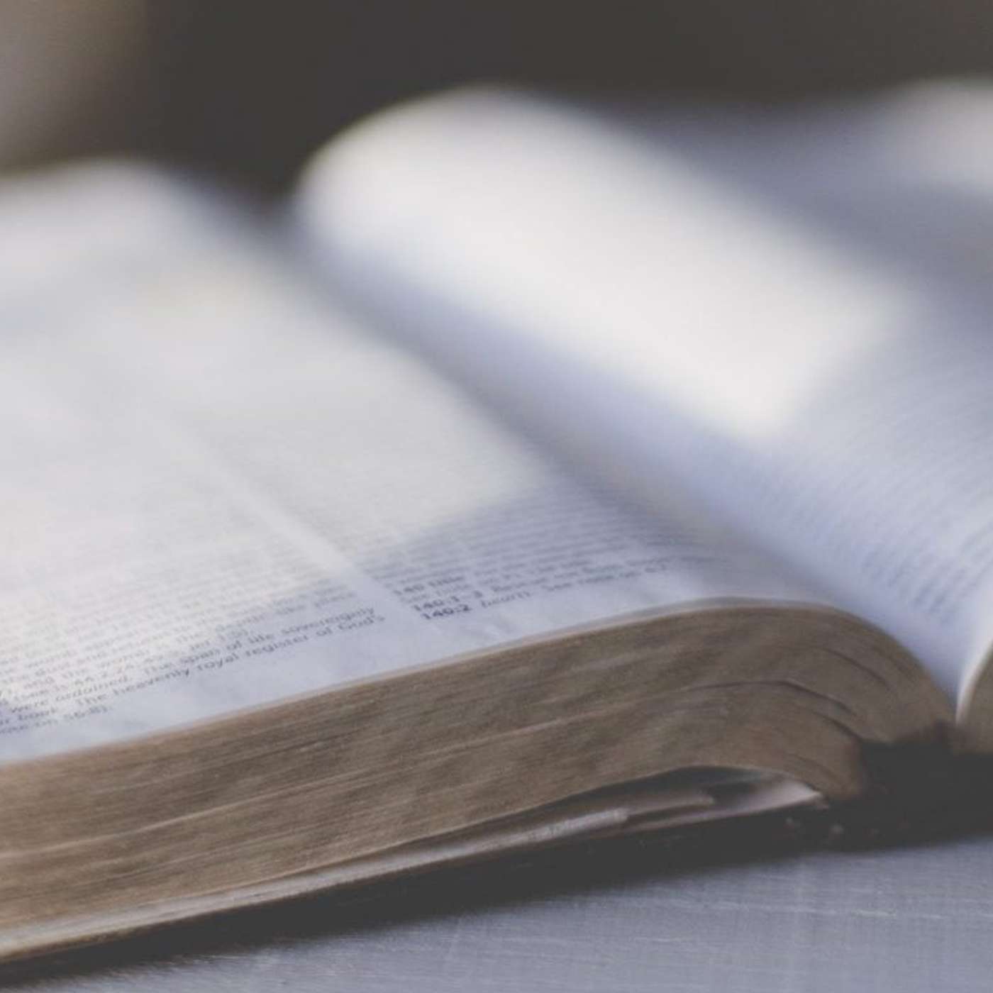 Rules episode artwork