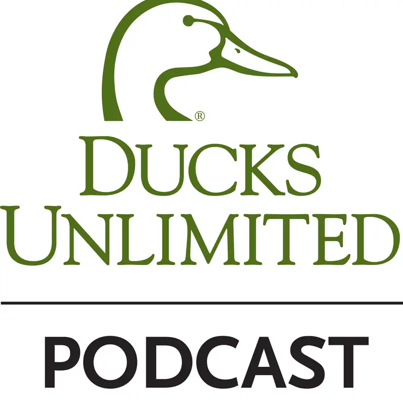 Ep. 1 – Introduction Show