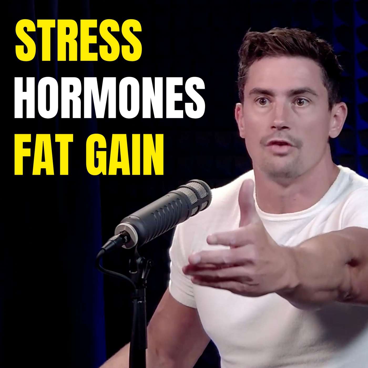How Stress is Making You Fat and Unhealthy