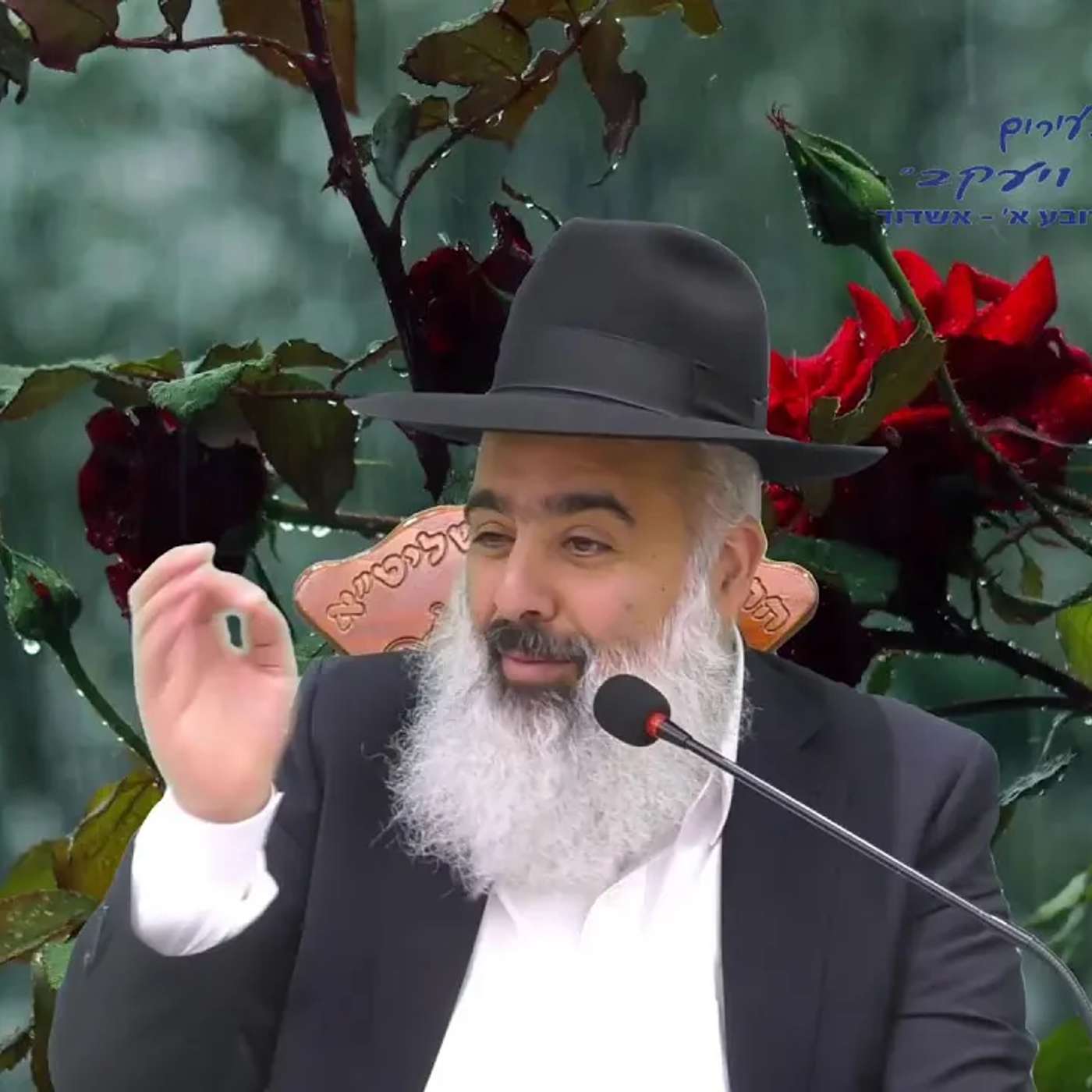 מי שמוותר מרוויח תמיד ובגדול | יום הזיכרון לחללי צה׳׳ל הי׳׳ד - תשפ׳׳ו episode artwork