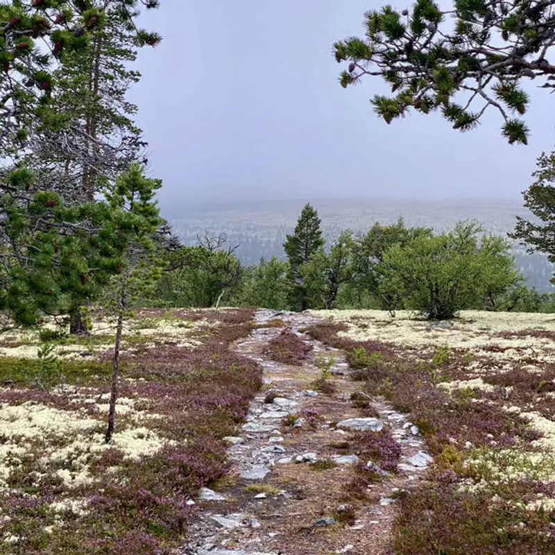 Friluftsliv, vai te ensinar a aproveitar a vida fora de casa!