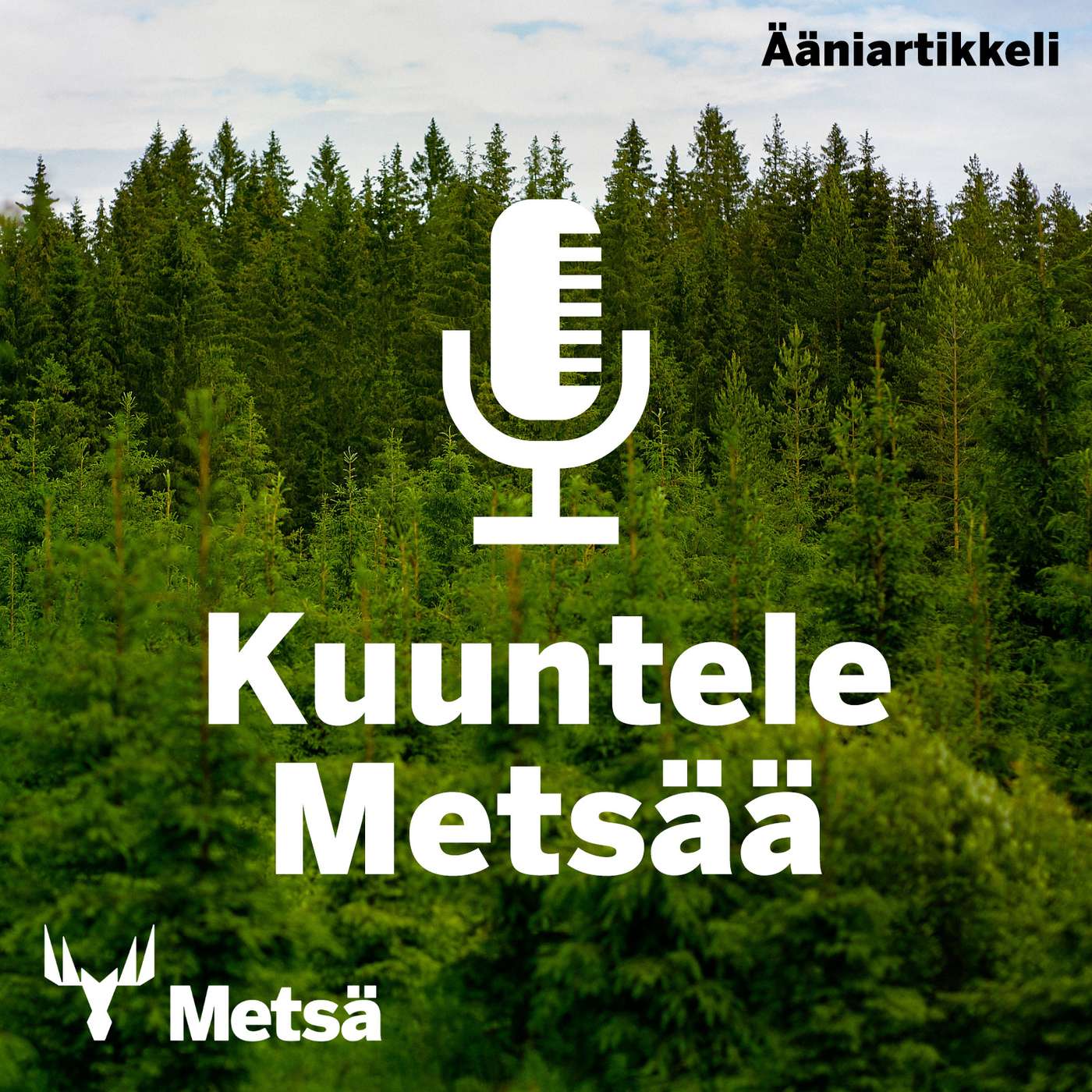 Ääniartikkeli: Järeysrunkohinta – kaikin puolin jees! episode artwork