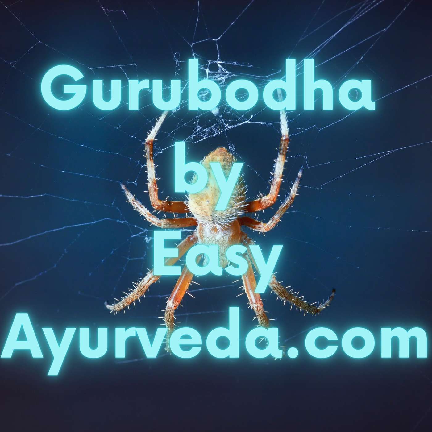GURUBODHA 81: Management of Spider Bite In Ayurveda (Luta Visha)- A Case Study| Sireesha Ghritha episode artwork