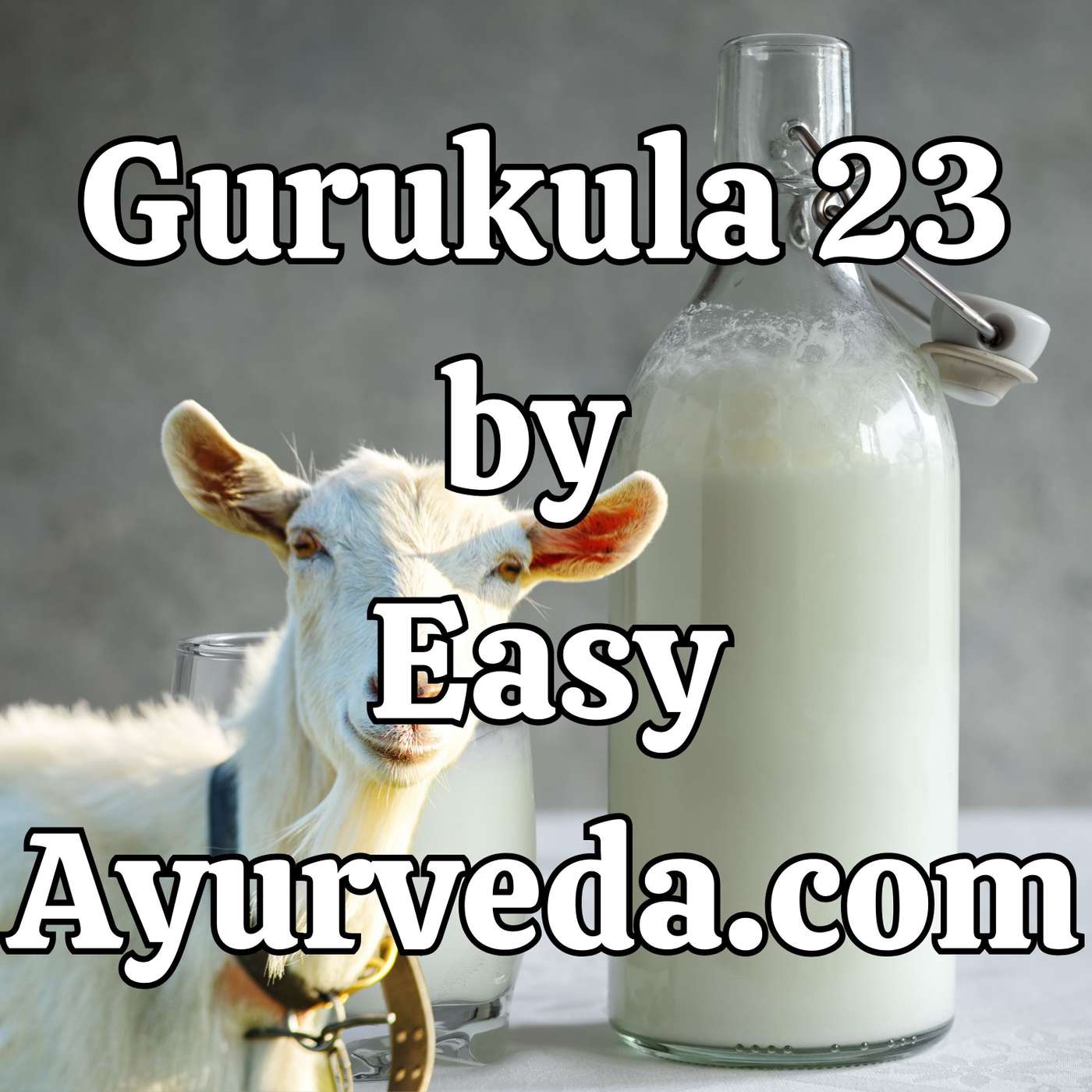 Gurukula 23 : Goat milk Health benefits | Cow milk vs Goat milk | Goat milk remedies episode artwork