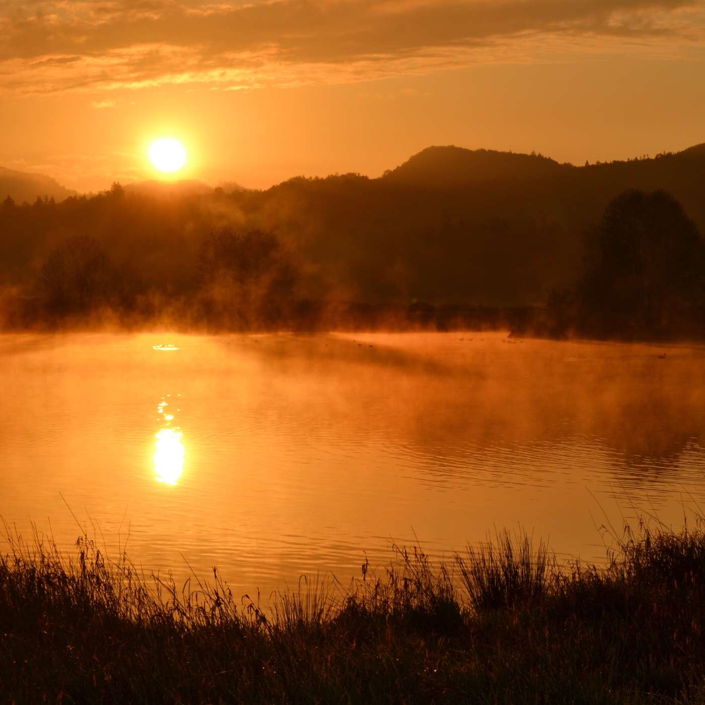Magic of the Sun - Bright Ethereal Harp - 432Hz - Solstice Blessings! episode artwork