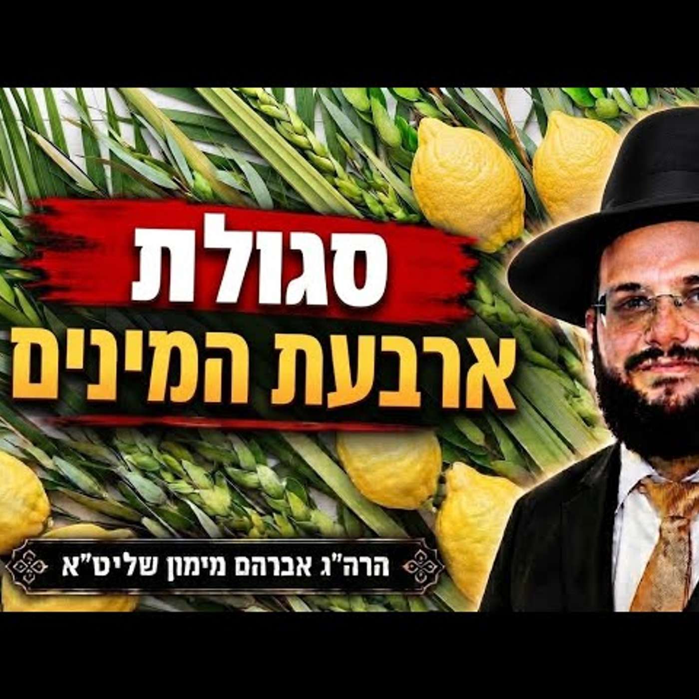 כל הסגולות להושענא רבה ולארבעת המינים עם הגאון הרב אברהם מימון episode artwork