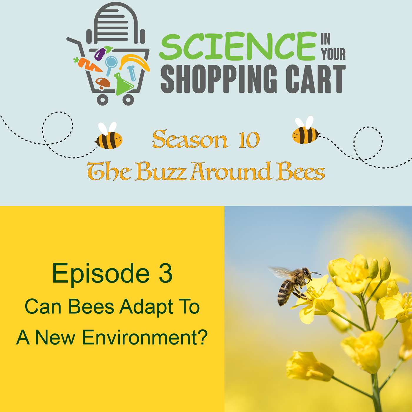 Science In Your Shopping Cart