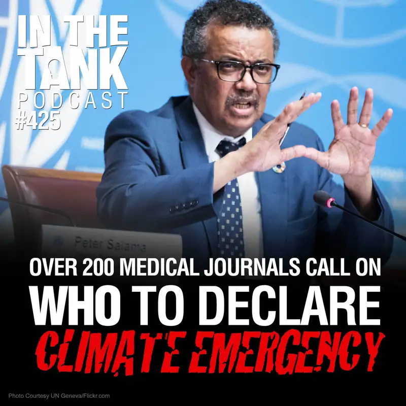 WHO To Declare Climate Emergency?  - In The Tank #425