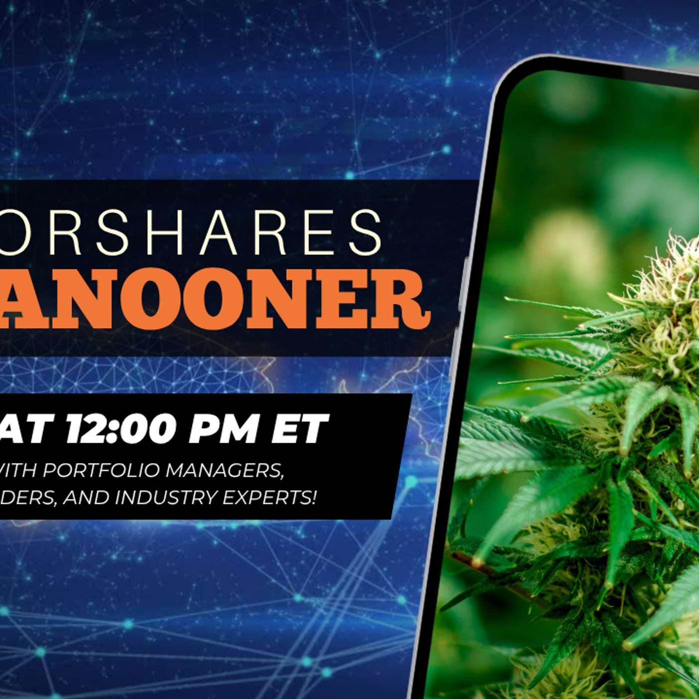 #AlphaNooner – Todd Harrison: Cannabis Catalysts Back on the Table? episode artwork