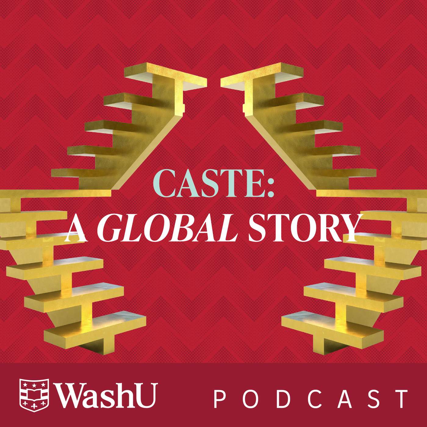 E10: Caste: A Global Story episode artwork