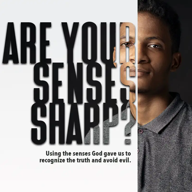 Are Your Senses Sharp?