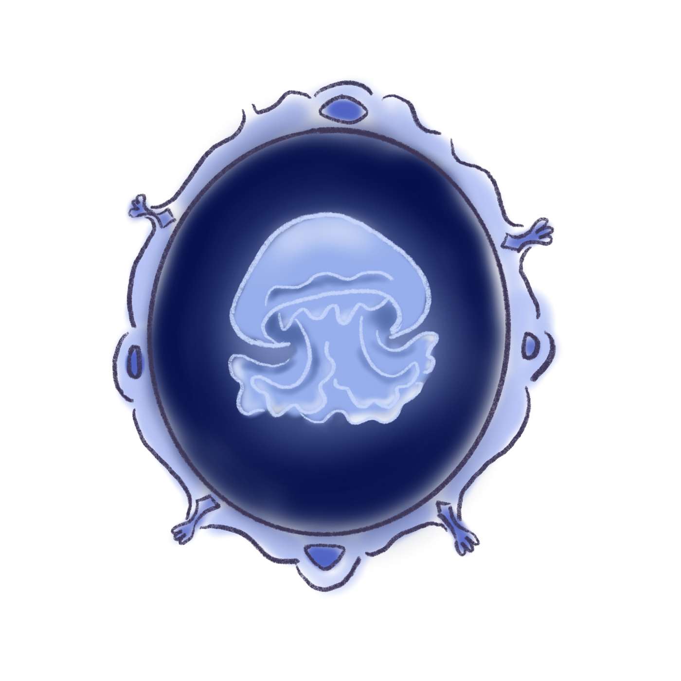 Démystifions... La méduse ! Une émission réalisée par les étudiants de Médiation scientifique en environnement