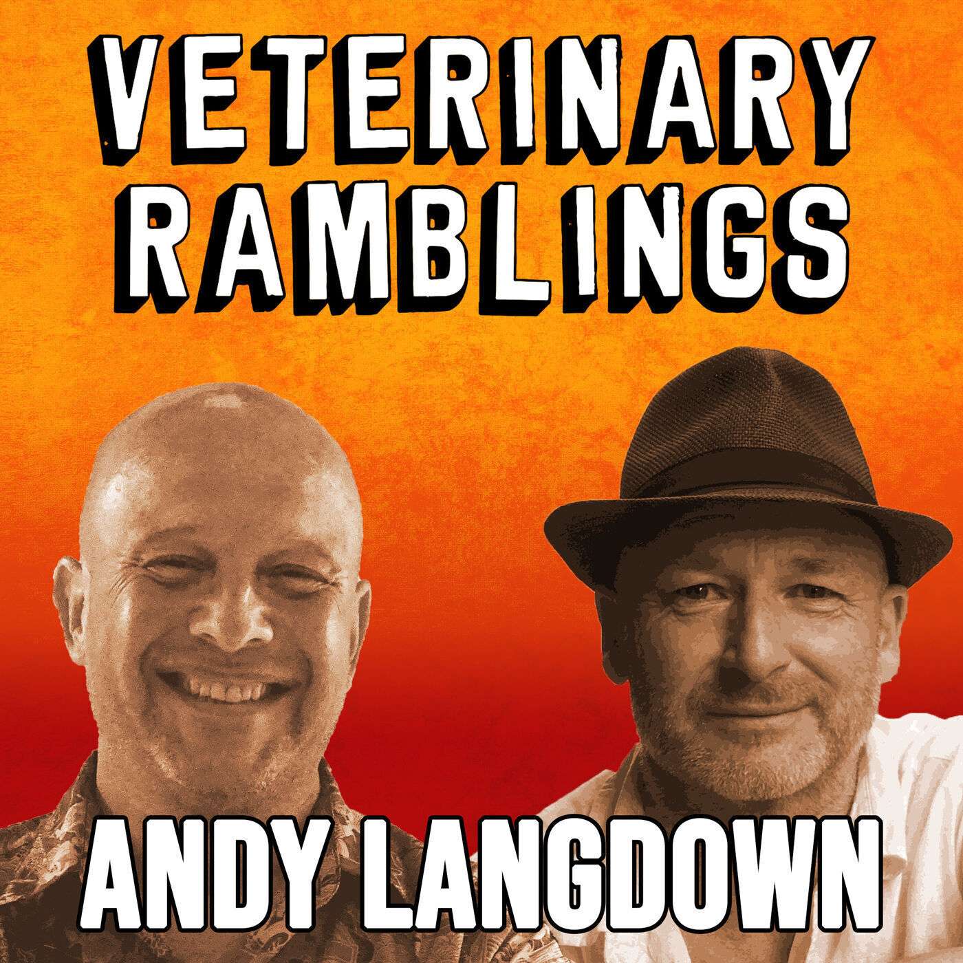 Ep 10: Hips, Knees & Bumpsadaisy with (Prof/DR/MR) Andy Langdown episode artwork