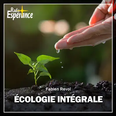 Chronique d’écologie intégrale