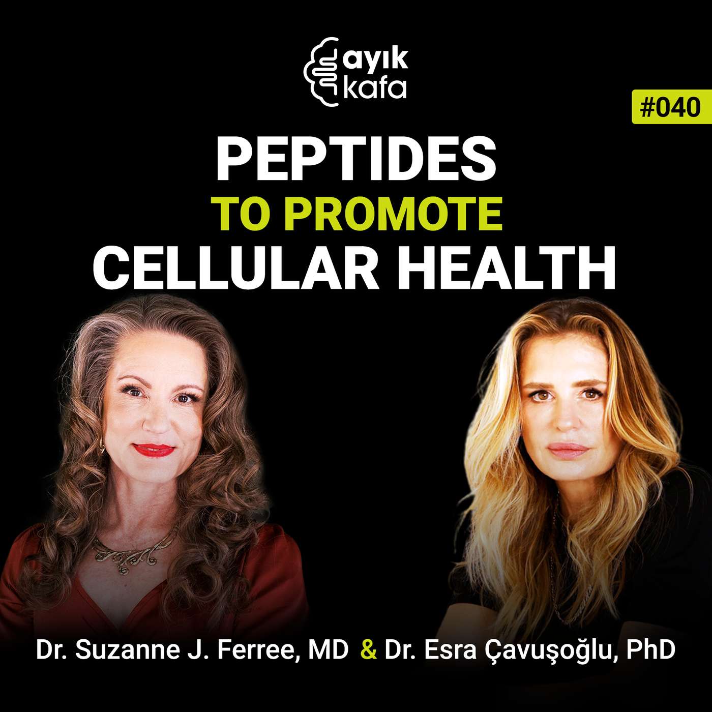Peptides to Promote Cellular Health | Dr. Suzanne Ferree episode artwork