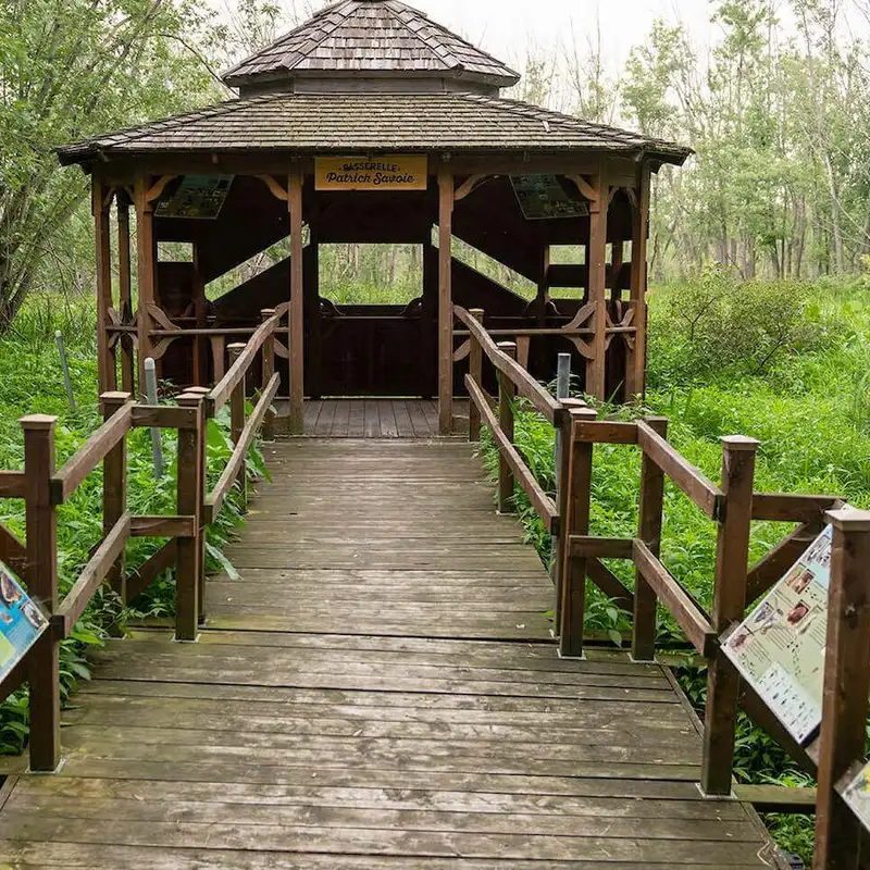 Le recul des milieux humides québécois