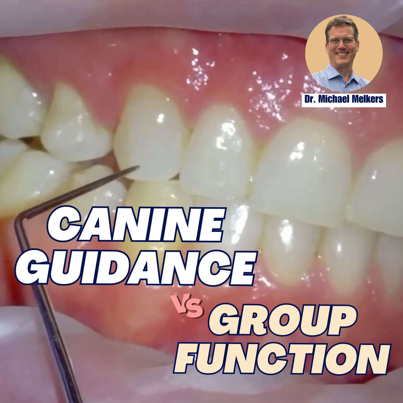 Canine Guidance vs Group Function – Does it Matter?! – PDP182 episode artwork