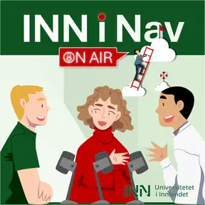 INN i Nav