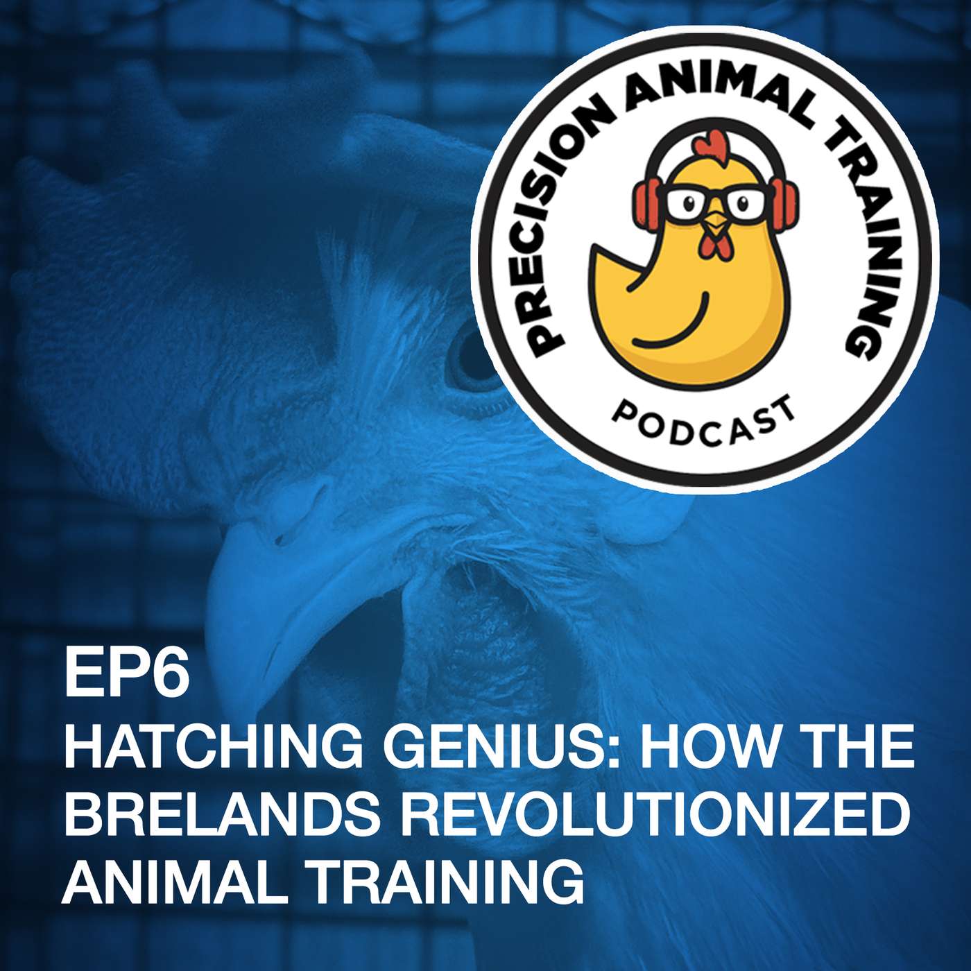 Hatching Genius: How the Brelands Revolutionized Animal Training