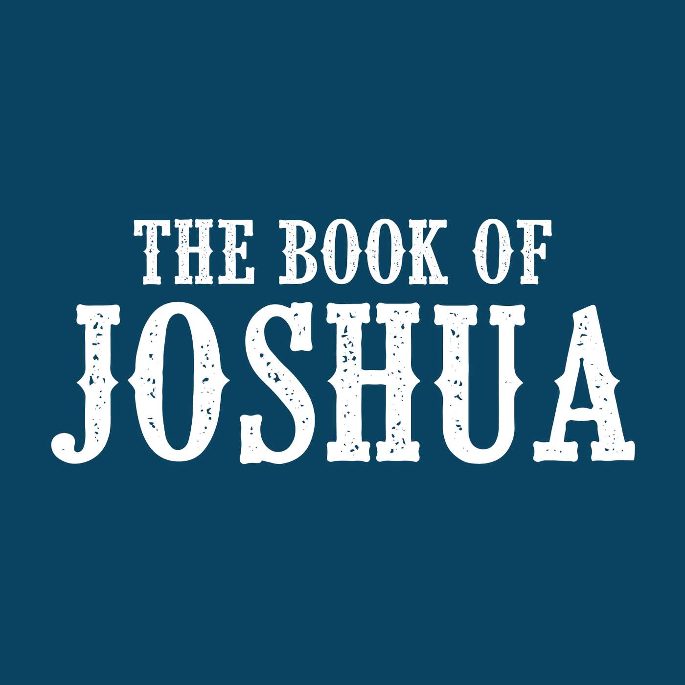 Joshua 8 episode artwork