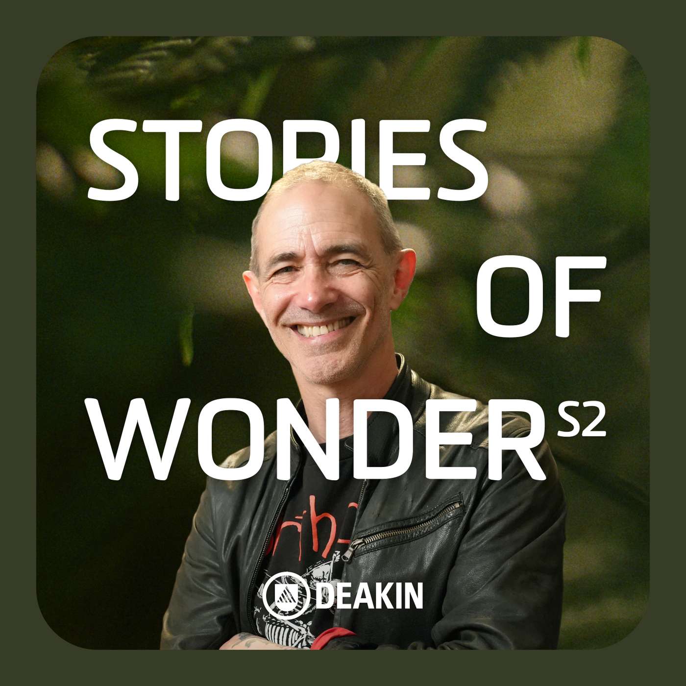 Stories of Wonder