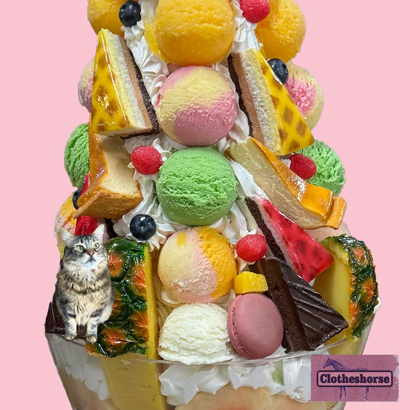 Clotheshorse with Amanda Lee McCarty