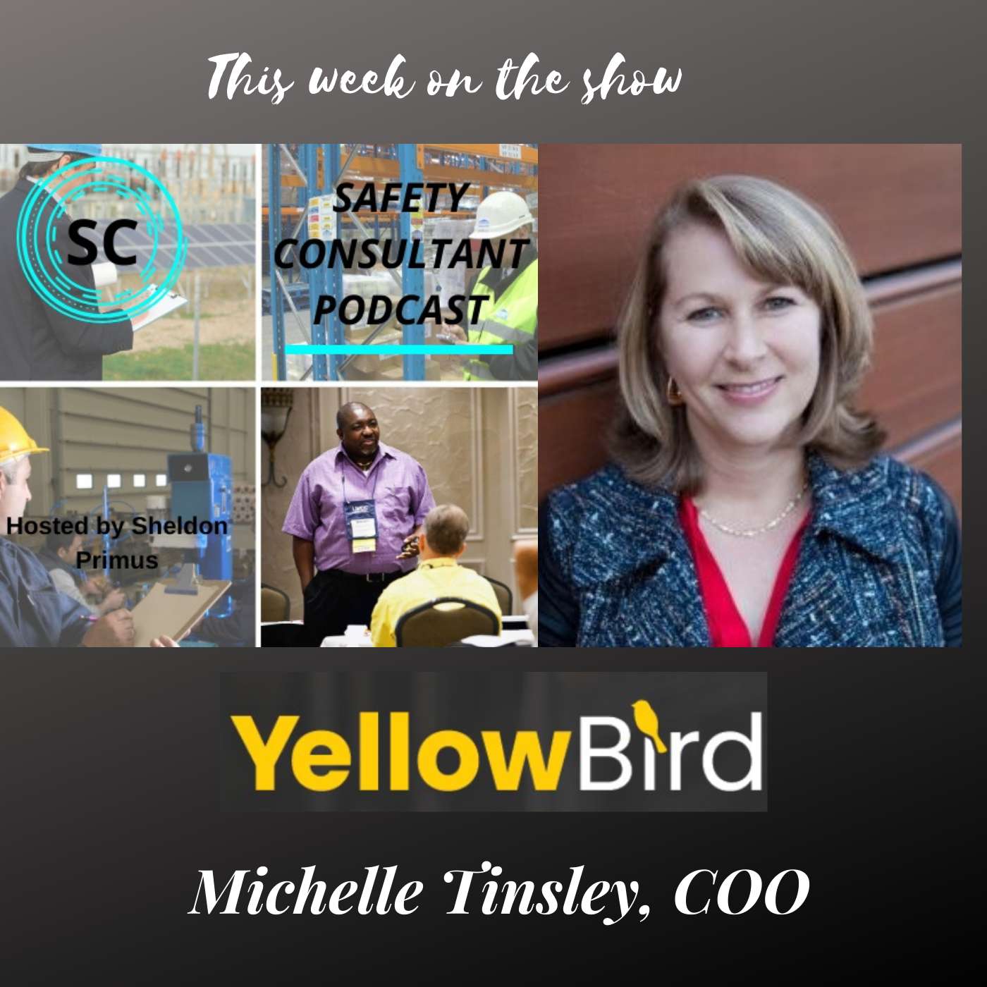 Michelle Tinsley: GoYellowbird.com