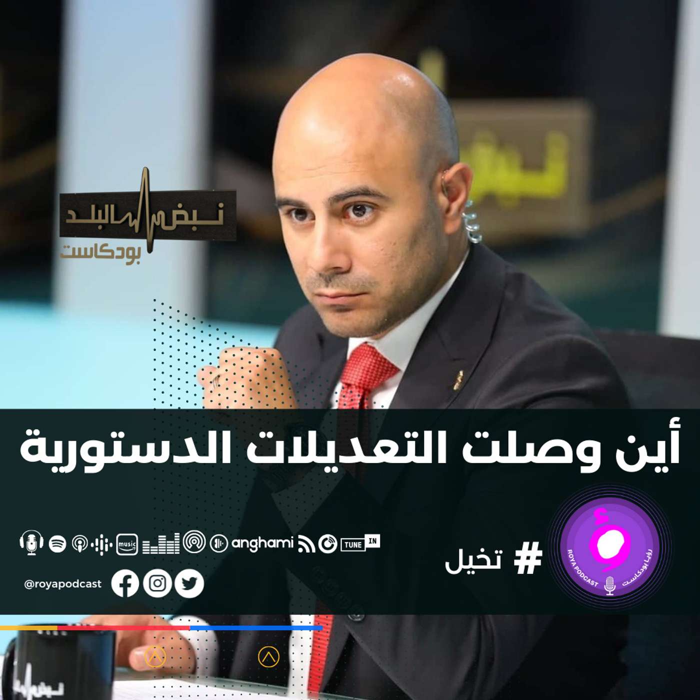 أين وصلت التعديلات الدستورية